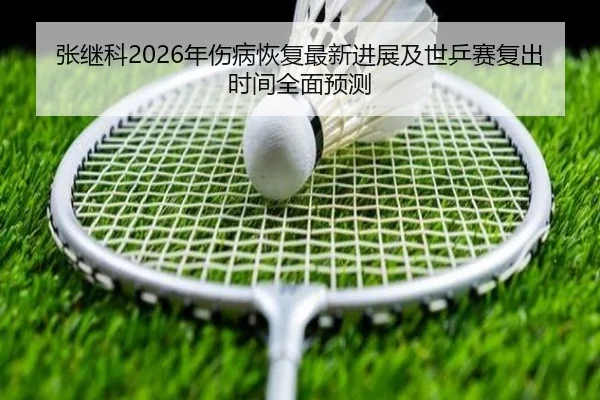 张继科2026年伤病恢复最新进展及世乒赛复出时间全面预测